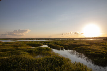 Fototapeta na wymiar Kaniera lake with reeds, top view. Evening. Lapmezciems,