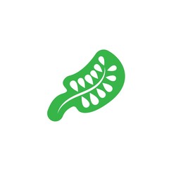 moringa leaf icon vector illustration design template