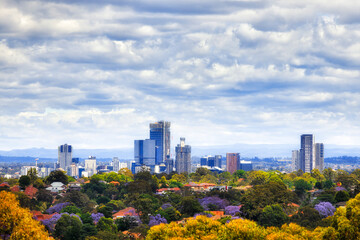 Parram CBD TEle from Ryde