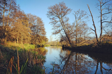 Winter light on the River Wey, Godalming, Surrey, UK