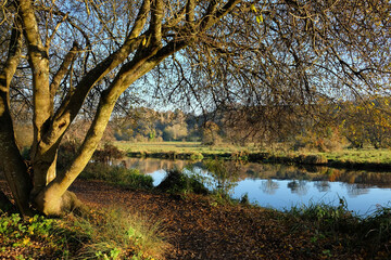 Winter light on the River Wey, Godalming, Surrey, UK