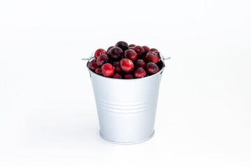 Fresh cranberries in small bucket isolated on white background