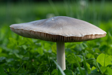 Sulla ciclopedonale del fiume salino