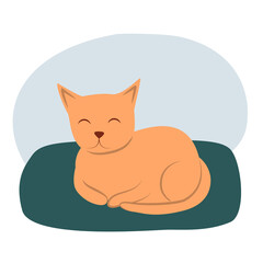 Cute sleeping little cat. Flat vector illustration. Cartoon style