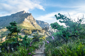 Table Mountain