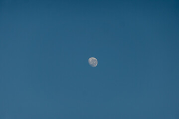 Obraz premium moon in view in blue sky during summer afternoon