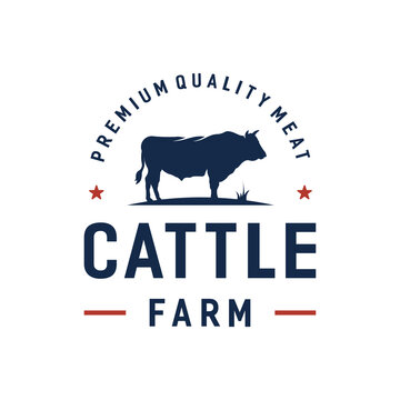 Vintage cattle / beef logo design Premium Vector