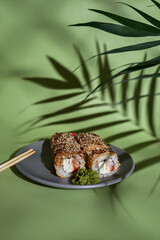 Japanese cuisine sushi on a plain light green background