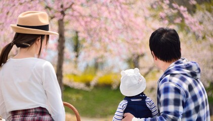 春・桜・ピクニックのファミリィー