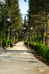 Autumnal Vake Park in Tbilisi
