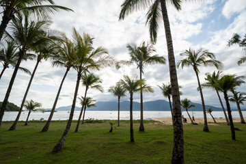 Obraz na płótnie Canvas Beautiful view to coconut palm trees on tropical island beach