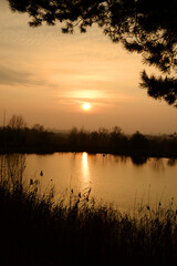 Obraz premium Autumn sunset on a background of river and trees in the fog