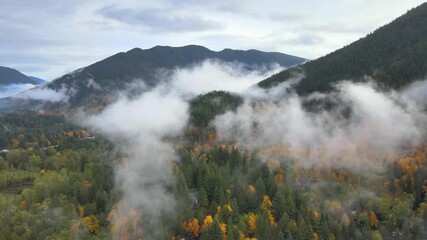Sped up footage of a drone flying over misty Oregon forest
