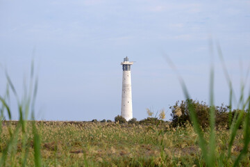 The lighthouse of Morro Jable on Fuerteventura.