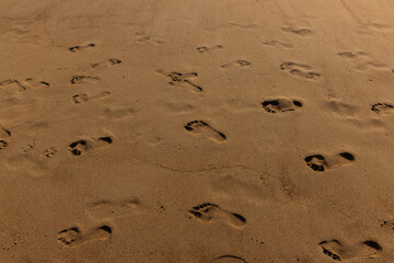 Fototapeta na wymiar human footprints on the sandy beach