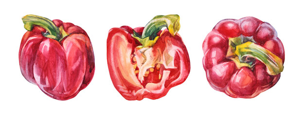 Set watercolor red half slice bell pepper isolated on white background. Hand-drawn sweet food vegetable for cooking book menu. Clipart creative spicy paprika for cafe sticker wrapping sketchbook