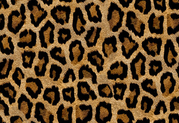 Seamless leopard texture, leopard fur