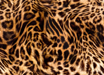 Fototapeta premium Seamless leopard texture, leopard fur