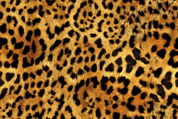 Fototapeta na wymiar Seamless leopard texture, leopard fur