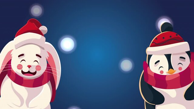 merry christmas animation with rabbit and penguin