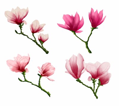 collection of red watercolor magnolia flowers
