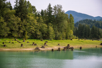 Tree stumps at the edge of a glacial colored lake