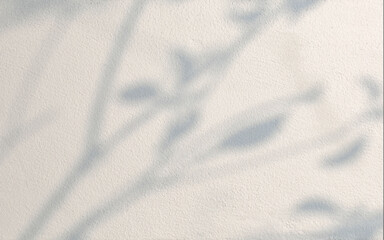 Gray shadow of the leaves on cement wall. Abstract nature concept background.