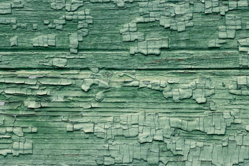 Green retro background of old painted wood for design