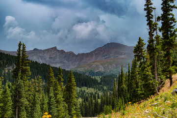 Guanella Pass Landscape in the Fall