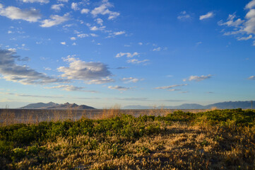 Fototapeta na wymiar Salt Lake Grassland