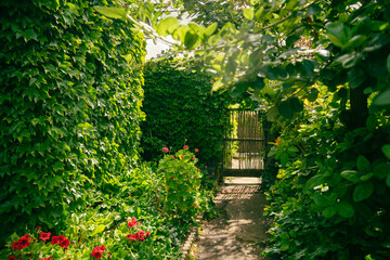 Beautiful vibrant garden at the Portland Botanic Gardens tourist attraction in Victoria, Australia