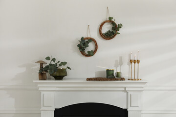 Stylish room with beautiful fireplace and eucalyptus branches