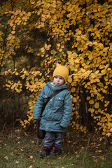 Little caucasian boy in green coat against yellow bush autumn time