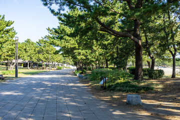 神奈川県横浜市金沢区の海の公園