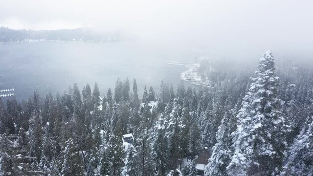 Flying through snowflakes and foggy cloud above mountain fir forest to frosty lake. Scenic white winter landscape with fresh white snow covering pine tree tops. Winter vacation Christmas celebration