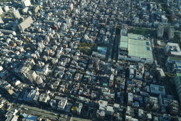 Fototapeta premium 東京の街並み（東京スカイツリーから撮影）