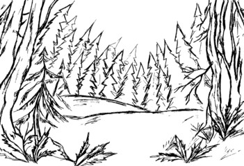 Fototapeta premium Black outlines of trees and firs in the forest on a white background
