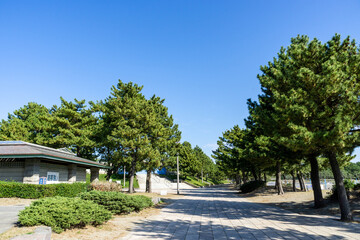 神奈川県横浜市金沢区の海の公園