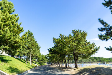 Obraz premium 神奈川県横浜市金沢区の海の公園