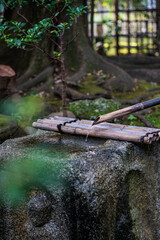 traditional town view in Japan.nature,house,garden.