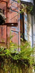 Abandoned old house with wooden windows, overgrown plants and weathered walls.