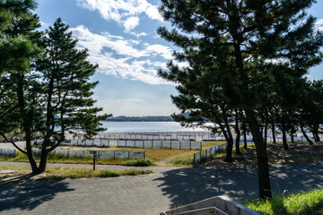 Fototapeta na wymiar 神奈川県横浜市金沢区の海の公園