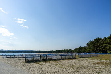 神奈川県横浜市金沢区の海の公園