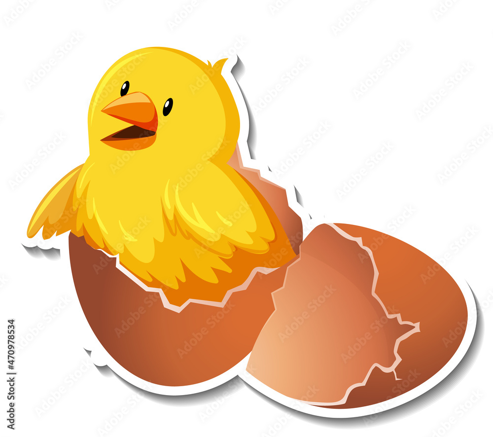 Poster chick hatching from an egg on white background