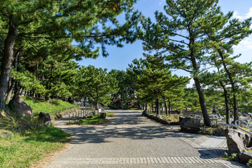 神奈川県横浜市金沢区の海の公園