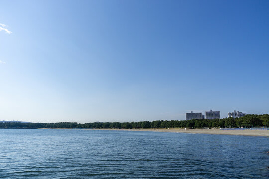 神奈川県横浜市金沢区の海の公園