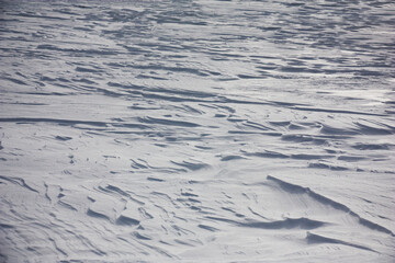 Sunny winter morning. In the field strong wind formed snow barkhans.