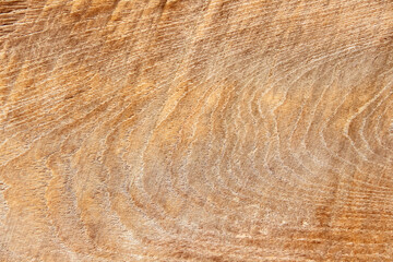 Old wood texture with natural patterns on background
