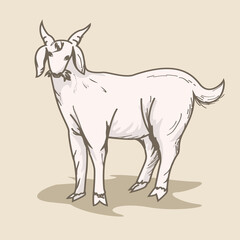 Vector illustration of a sacrificial goat standing while eating grass for Eid al-Adha ornaments and banners