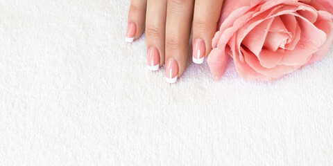 Female fingers with beautiful French tips manicure on white terry towel and a soft pink rose...